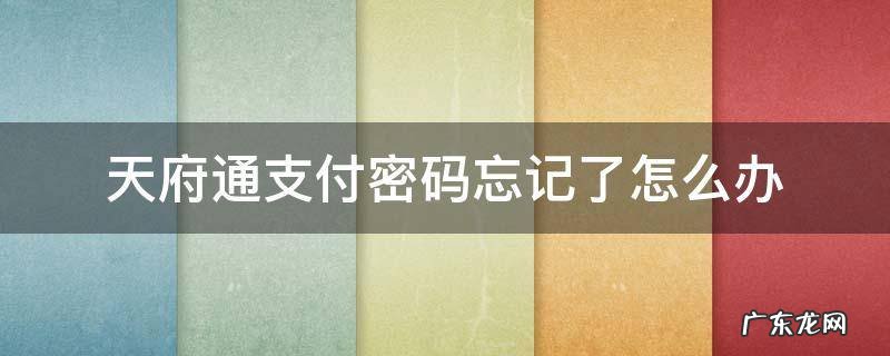 天府通支付密码忘记了怎么办 天府通办无法输入密码