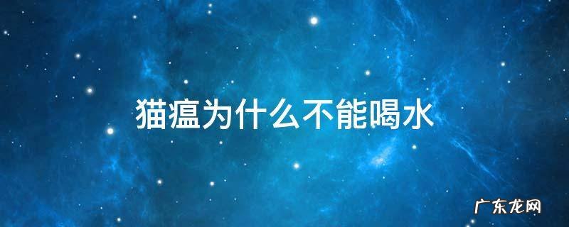 猫瘟为什么不能喝水 猫瘟不能喝水吗