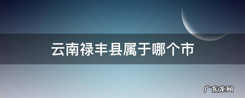 禄丰市有几个县 云南禄丰县属于哪个市