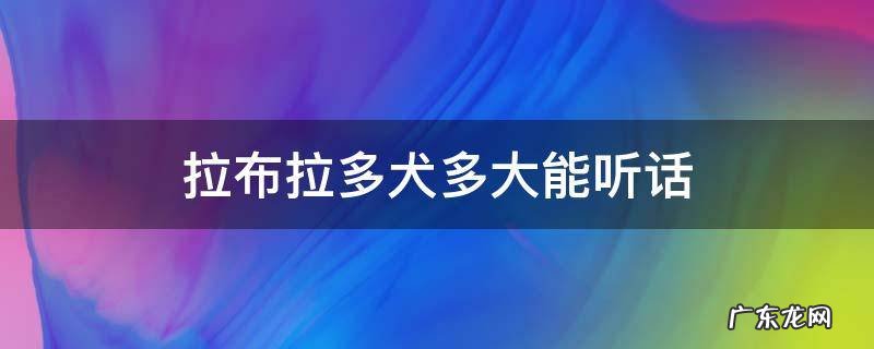 拉布拉多几个月能听话阿 拉布拉多犬多大能听话