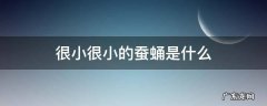 很小很小的蚕蛹是什么 蚕蛹有的大有的小