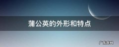 蒲公英的外形和特点是什么 蒲公英的外形和特点