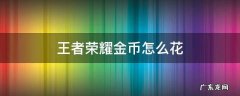 王者荣耀金币怎么花 王者荣耀金币怎么花掉