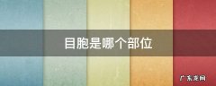 目胞是哪个部位 目胞是什么