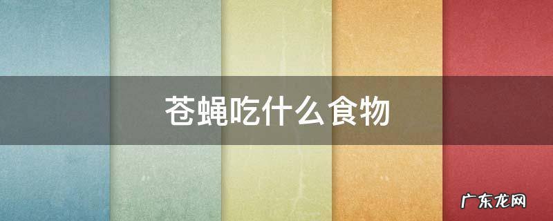 苍蝇吃什么食物 苍蝇吃什么食物为主