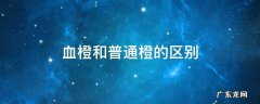 血橙和普通橙的区别 血橙有什么区别
