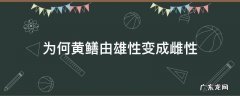 为何黄鳝由雄性变成雌性 黄鳝都会变成雄性吗
