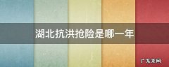 湖北抗洪抢险是哪一年 湖南抗洪是哪一年