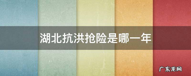 湖北抗洪抢险是哪一年 湖南抗洪是哪一年