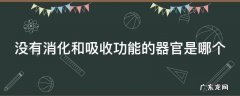 没有消化和吸收功能的器官是哪个