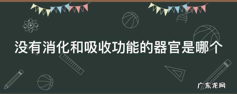 没有消化和吸收功能的器官是哪个