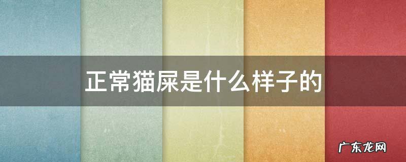 正常猫屎是什么样子的 猫屎哪种正常