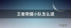 王者荣耀小队怎么退出 王者荣耀小队怎么退