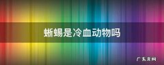 蜥蜴是冷血动物还是热血动物 蜥蜴是冷血动物吗