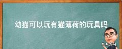 幼猫可以玩有猫薄荷的玩具吗 幼猫能玩带有猫薄荷的玩具吗
