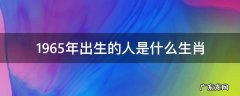 1965年出生的是属什么生肖 1965年出生的人是什么生肖