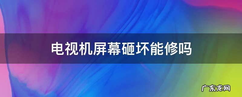 电视机屏幕砸坏了能修吗 电视机屏幕砸坏能修吗