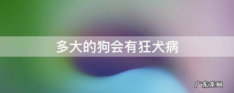 多大的狗会有狂犬病 多大的狗才会有狂犬病