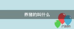 养猪的叫什么官 养猪的叫什么
