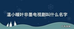 温小暖叶非墨是什么电视剧 温小暖叶非墨电视剧叫什么名字