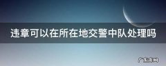违章可以在所在地交警中队处理吗