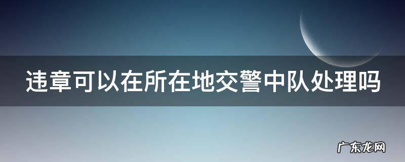 违章可以在所在地交警中队处理吗