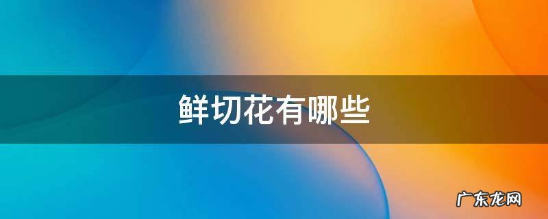 夏季鲜切花有哪些 鲜切花有哪些