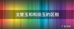 戈壁玉和和田玉的区别 戈壁白玉是和田玉吗