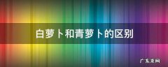 白萝卜和青萝卜的区别是什么 白萝卜和青萝卜的区别