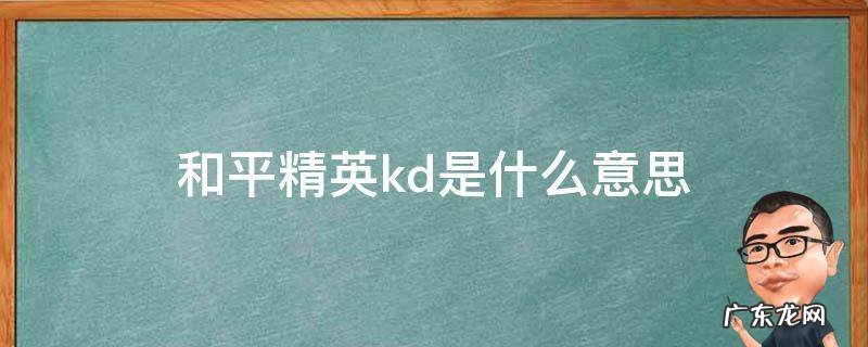 和平精英kd是什么意思 和平精英KD啥意思