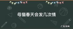 母猫春天会发几次情