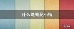 什么是簪花小楷 什么是簪花小楷图片