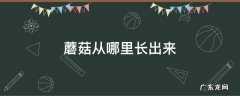 蘑菇从哪里长出来 蘑菇是从什么地方长出来的