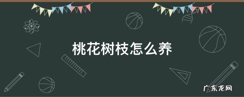 桃花树枝怎么养 桃树枝怎么养开花