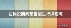 在拘役期间是否能进行探视呢 拘役期间可以探视吗