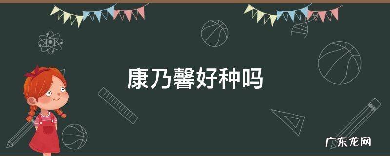 康乃馨好种吗 刚买的康乃馨怎么种