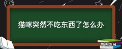 猫咪突然不吃东西了怎么办 猫咪突然不怎么吃东西怎么办
