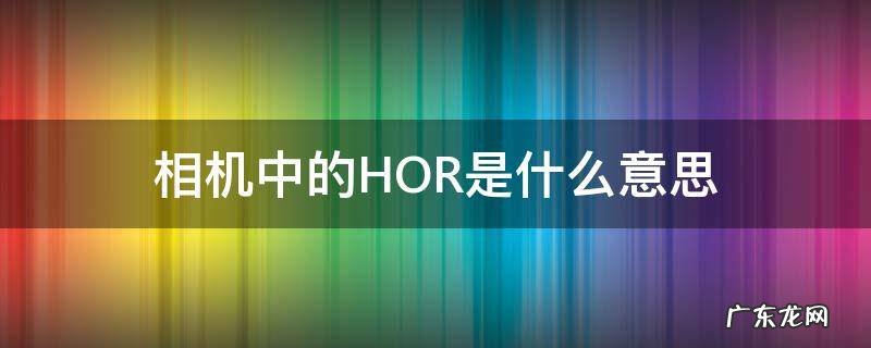 相机里的hor是干什么的 相机中的HOR是什么意思