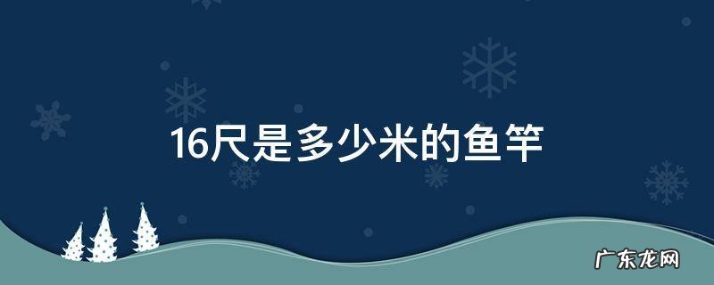 16尺是几米的鱼竿 16尺是多少米的鱼竿