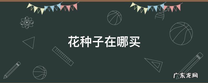 花种子在哪买 洛克王国绣球花种子在哪买
