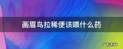 画眉鸟拉稀吃什么药 画眉鸟拉稀便该喂什么药