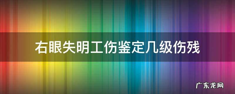 右眼失明工伤鉴定几级伤残 双眼失明是几级伤残鉴定