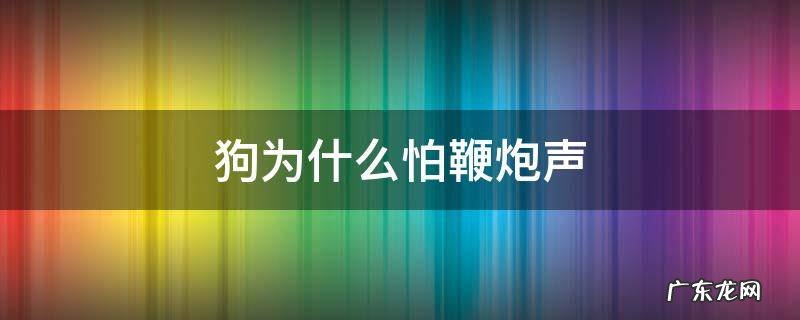 狗为什么怕鞭炮声 狗为啥怕鞭炮声