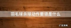 羽毛球接杀动作要领 羽毛球杀球动作要领是什么