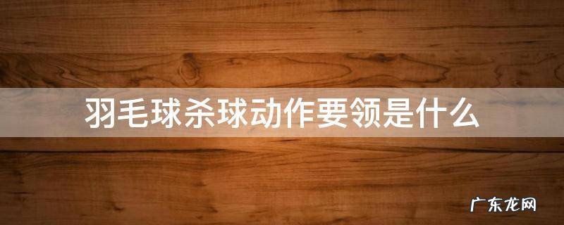 羽毛球接杀动作要领 羽毛球杀球动作要领是什么