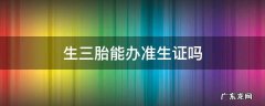 三胎可以办准生证么 生三胎能办准生证吗