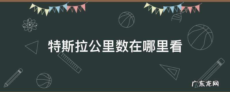 特斯拉在哪里看车辆里程 特斯拉公里数在哪里看