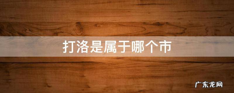 打洛镇属于哪个县 打洛是属于哪个市