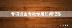 专项资金专款专用如何记账 专项资金专账核算