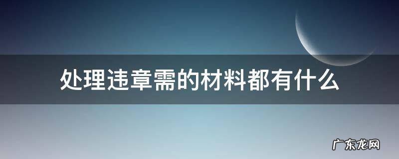 处理违章需要什么资料和东西 处理违章需的材料都有什么